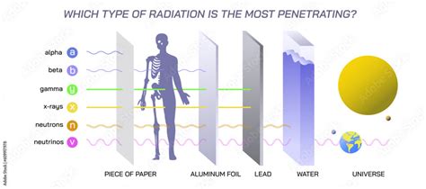 x rays are most similar to gama rays